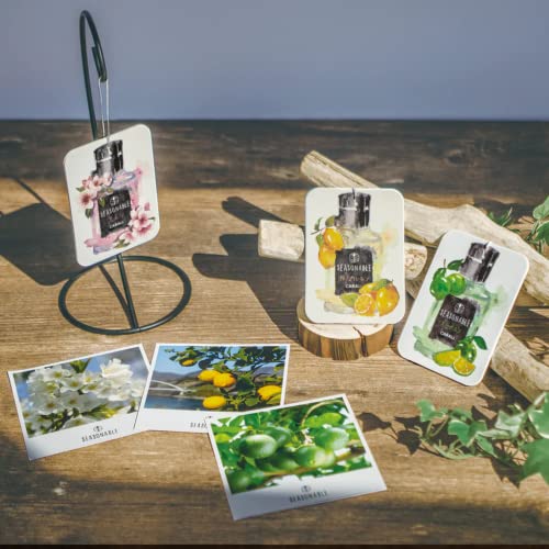 Seasonable Duftanhänger 3er Pack