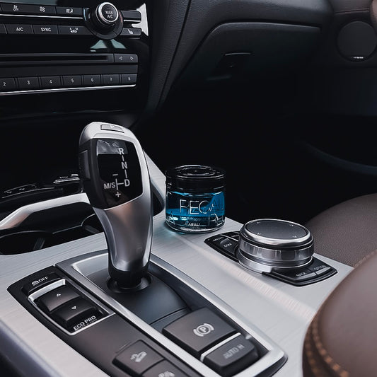 hochwertigen Autoduft kaufen von Carall im KeinDuftbaum Shop